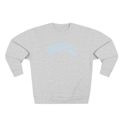 Unisex Crewneck Sweatshirt